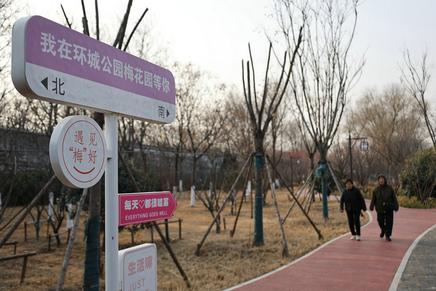 梅花飘香古城美_fororder_643465