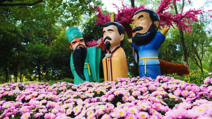 南阳市新野县:以菊为媒绘就农文旅融合新图景_fororder_三国文化与盛开的菊花相互辉映 摄影 王小军.JPG