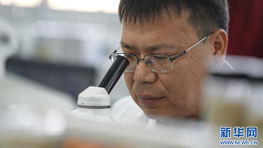 中国梦·大国工匠篇 | 井金峰:“业精于勤,贵于专”