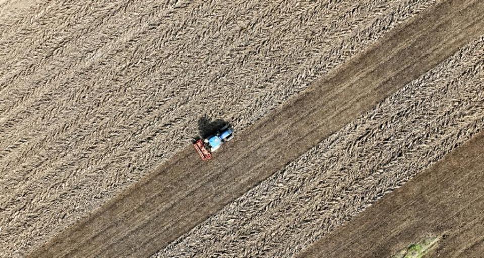 记者手记:晚播晚种,会影响“中原粮仓”明年夏收吗?