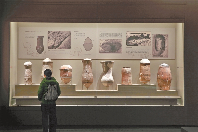 2025年河南三座遗址博物馆开启华夏文明探秘新篇