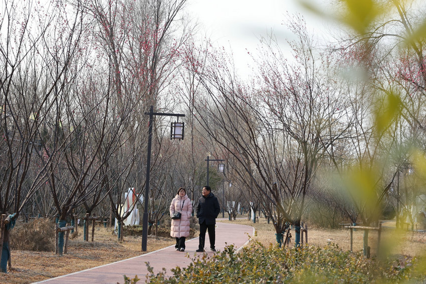 梅花飘香古城美_fororder_643463