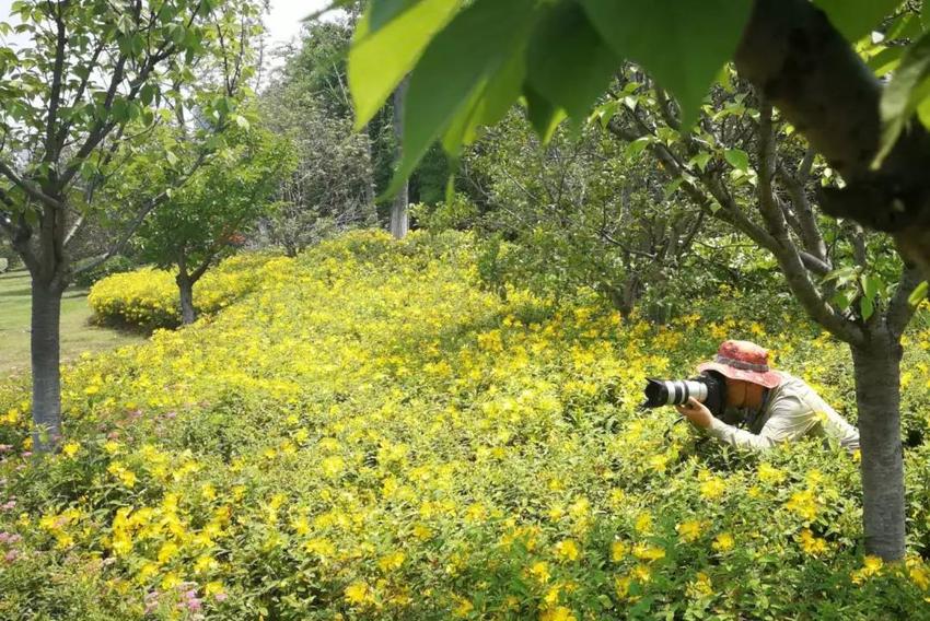 (供稿 河西CBD专题 河西CBD动态首页图 三吴大地南京 移动版)摄影大咖云集南京河西 共同记录“最美城市客厅”(列表页标题)摄影大咖记录南京“最美城市客厅”