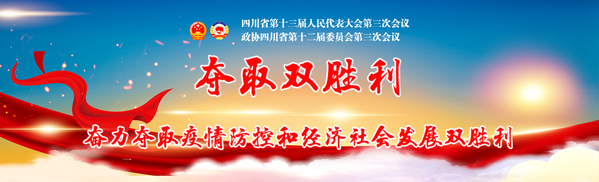 2020四川省两会 2020四川省两会_fororder_头图