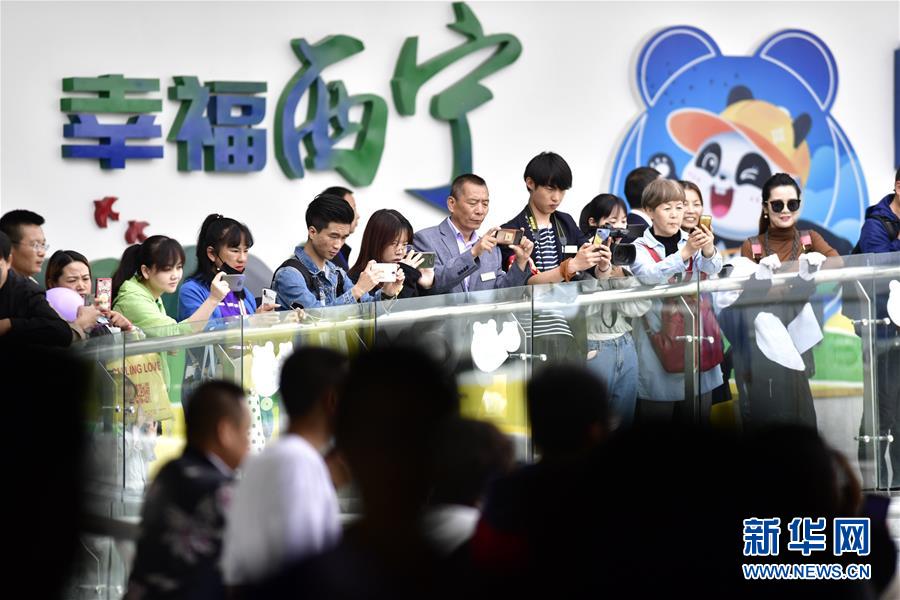 高原西宁首家熊猫馆对外开放