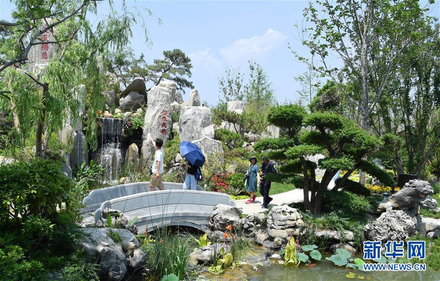 北京世园会迎来“山东日”