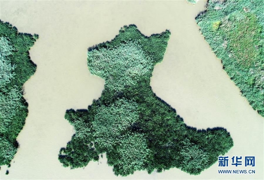 天津：七里海湿地上的画卷