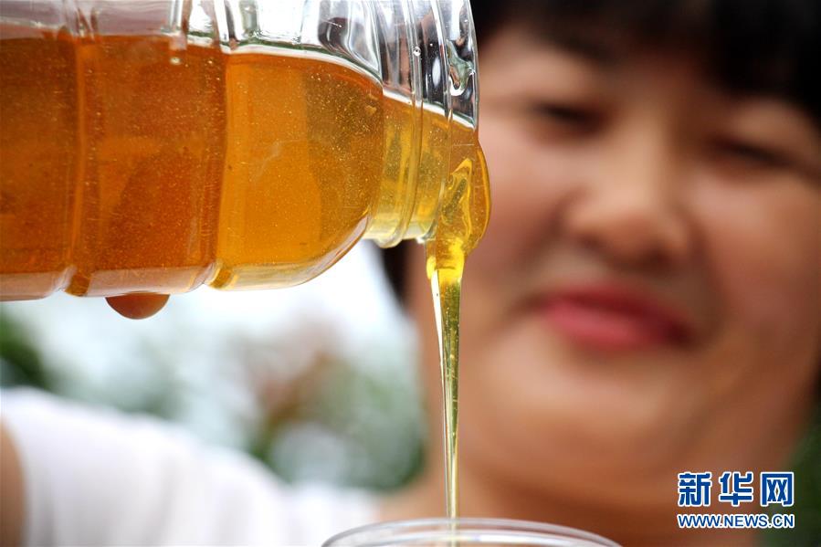 山东滨州：仲夏时节采蜜忙