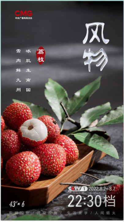 中央广播电视总台大型文化节目《风物》第一季“新鲜”开播