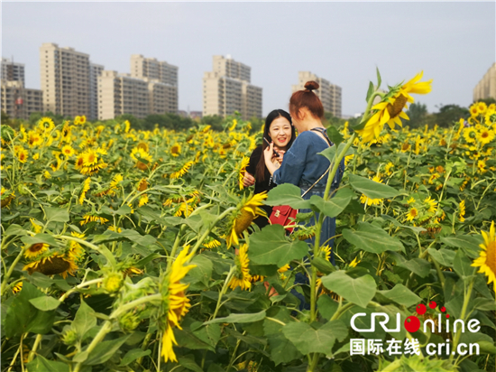 (供稿 旅游图文 三吴大地南通 移动版)“追梦港闸·飞阅市北”媒体行在南通市港闸举行