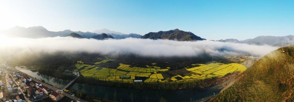 安徽石台：画里山乡迎客 火了农产品富了乡亲