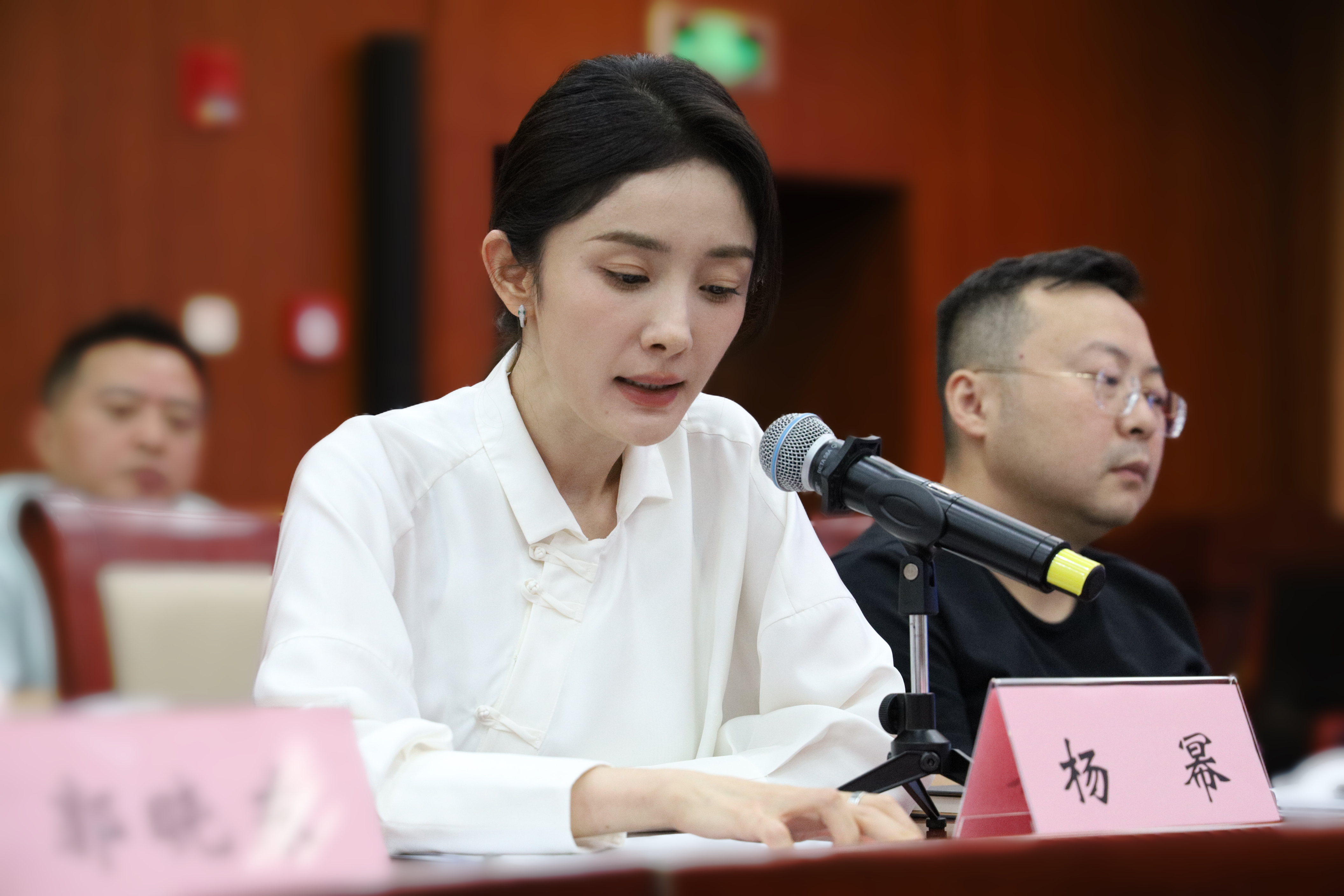 中广联合会职业道德建设座谈会上各委员会代表发言表态_fororder_杨幂