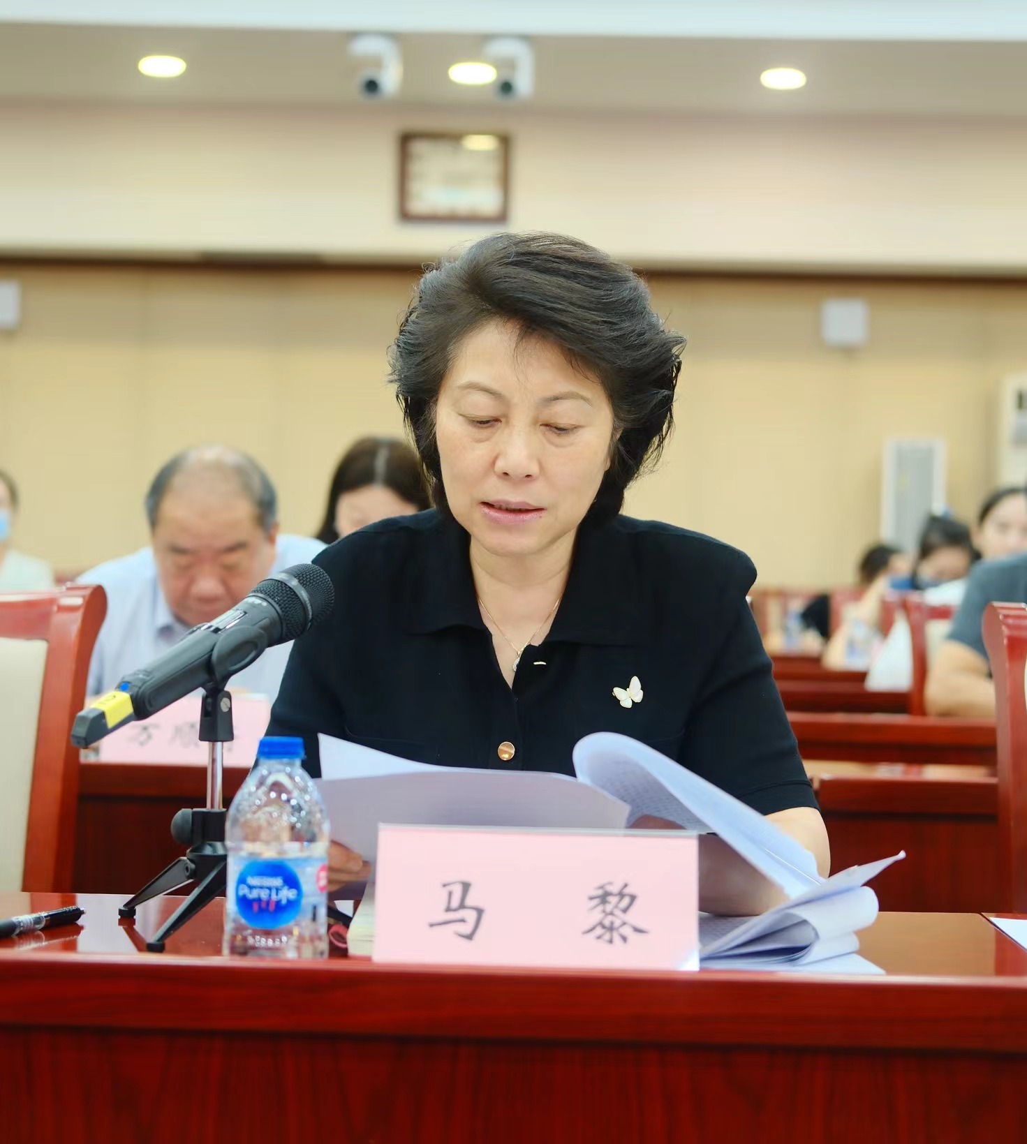 马黎在中广联合会深入学习宣传贯彻党的二十届三中全会精神座谈会上的发言_fororder_马黎