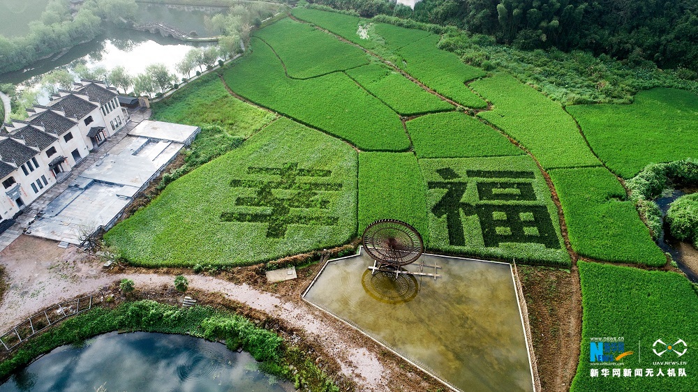 【“飞阅”中国】航拍江西婺源瑶湾：奋斗幸福新“港湾”