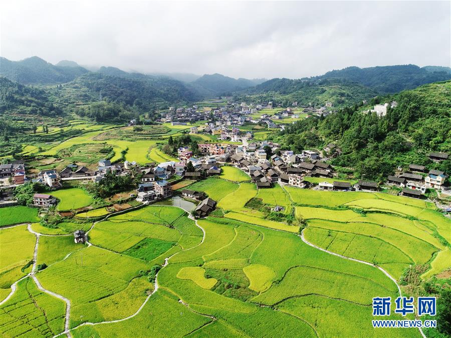贵州：秋到山乡 丰收在望