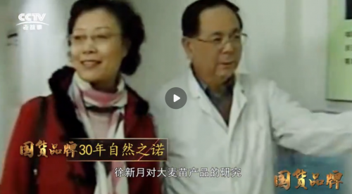中国麦绿素创始企业博可生物荣登央视《国货品牌》栏目