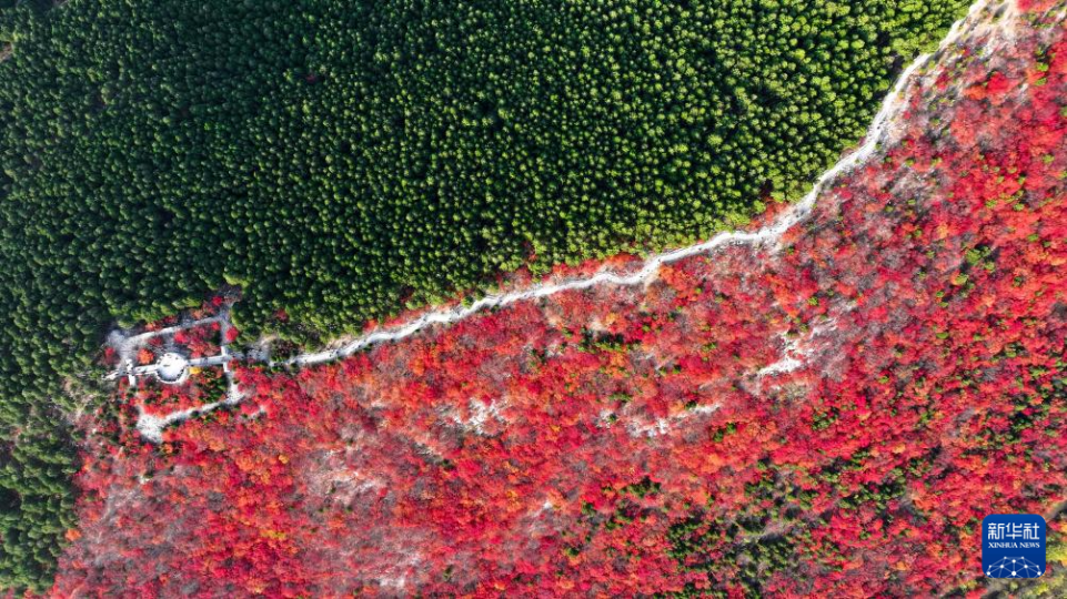 山东济南:“平分秋色”蝎子山