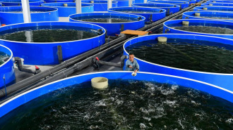 山东郓城：以产业兴旺助推乡村振兴