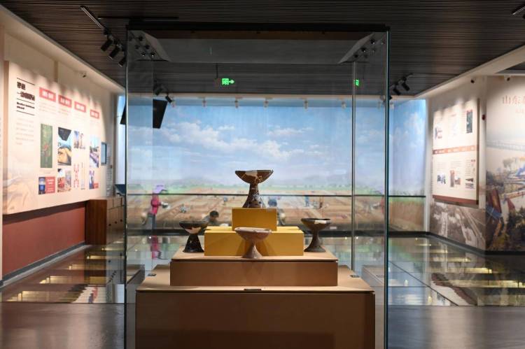 沿着黄河遇见海|大汶口遗址:黄河下游的文明曙光