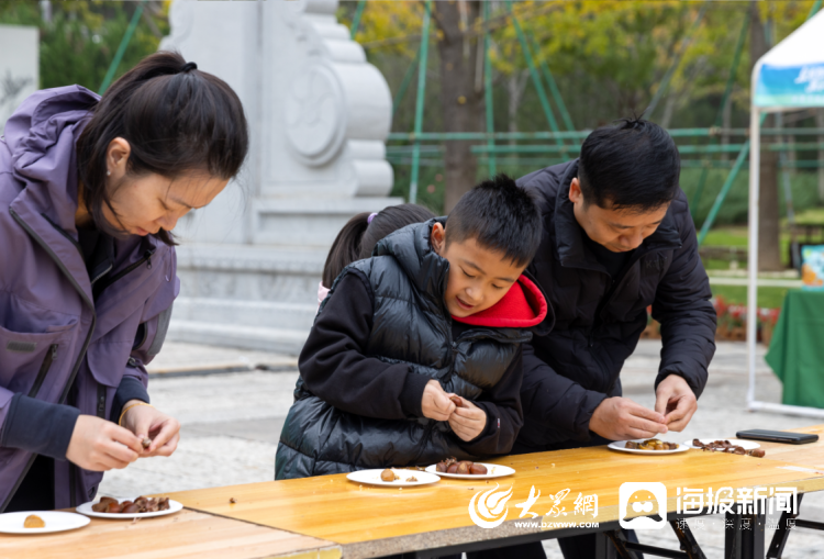 金秋栗香浓,产业促振兴,“泉果飘香 栗享香甜”板栗专场推介活动成功举办