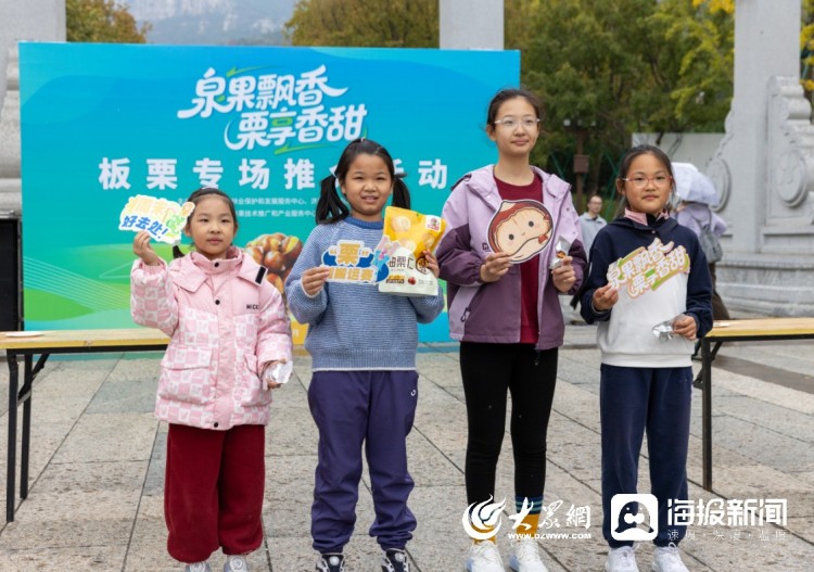 金秋栗香浓,产业促振兴,“泉果飘香 栗享香甜”板栗专场推介活动成功举办