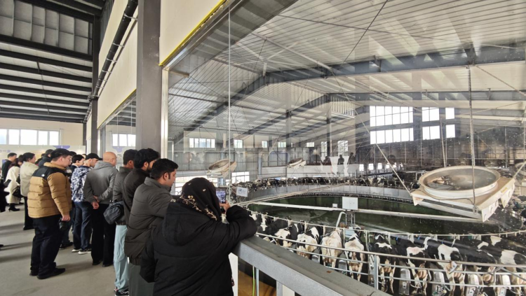 “汉语桥”教育工作者访华团走进济南历城_fororder_图片1