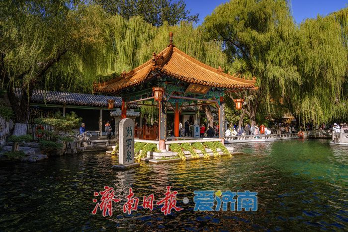 趵突泉金秋菊展盛装绽放,游客市民共赏千菊争艳