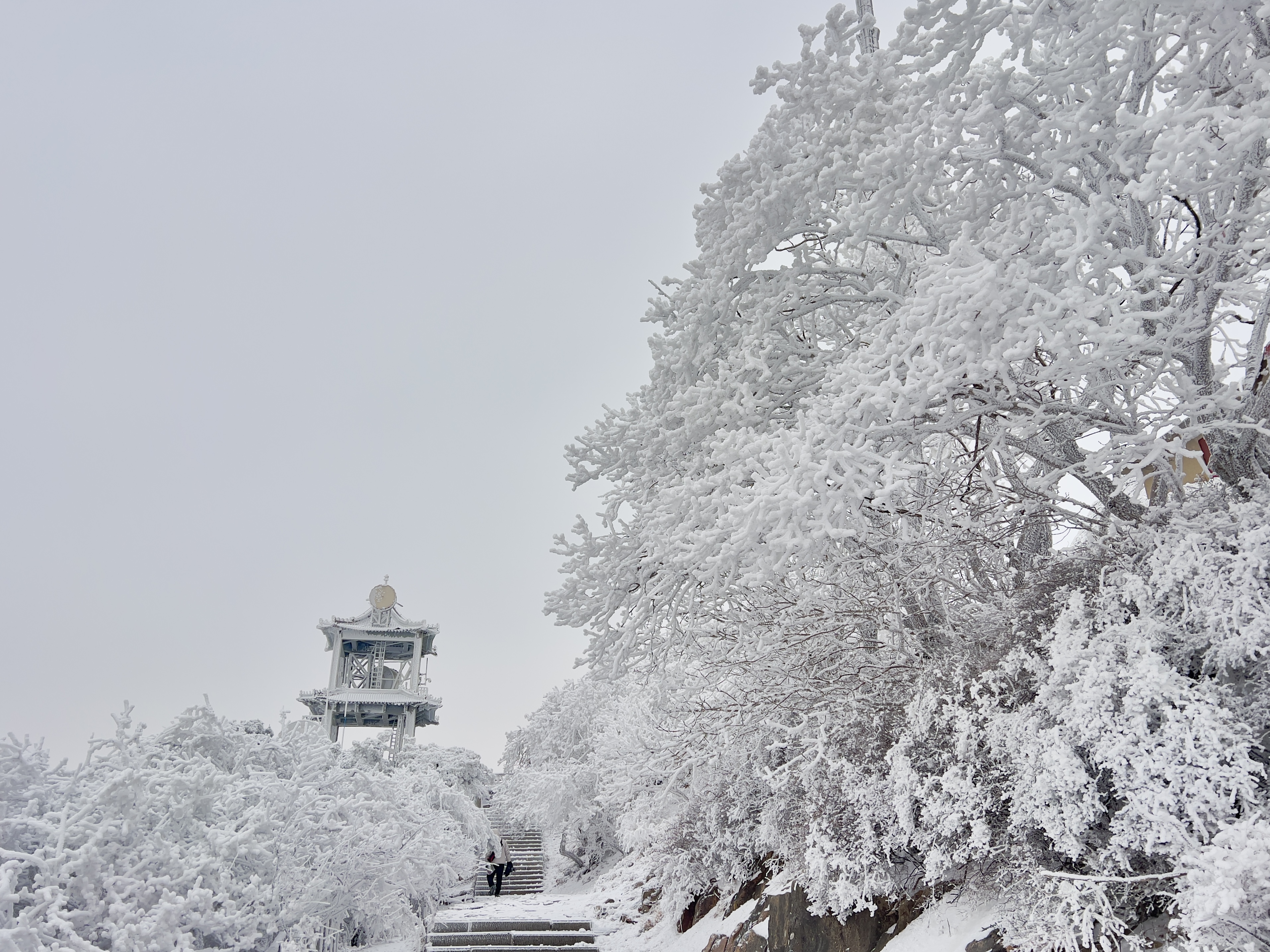山东泰安:雪后泰山披银装 铲冰除雪保畅通