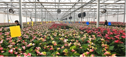 机遇中国,魅力济南:外媒体验泉城科创动力与人文温度