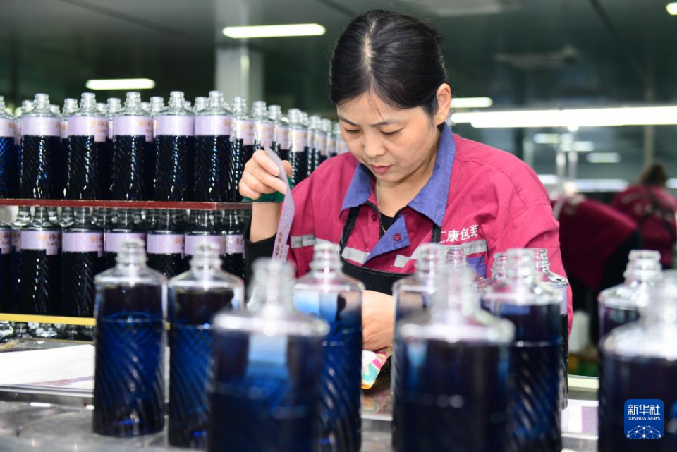 山东郓城:以产业兴旺助推乡村振兴