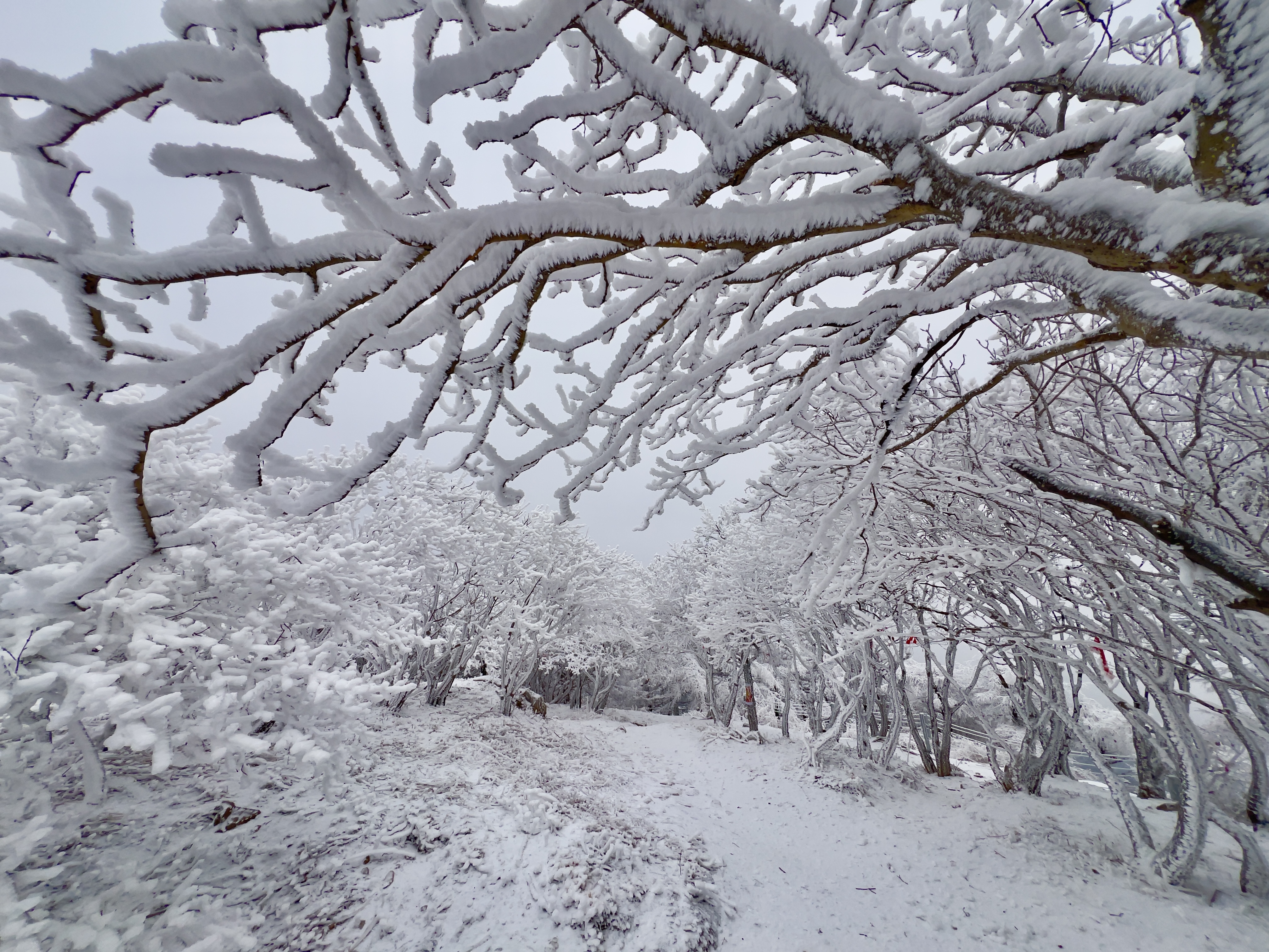 山东泰安:雪后泰山披银装 铲冰除雪保畅通