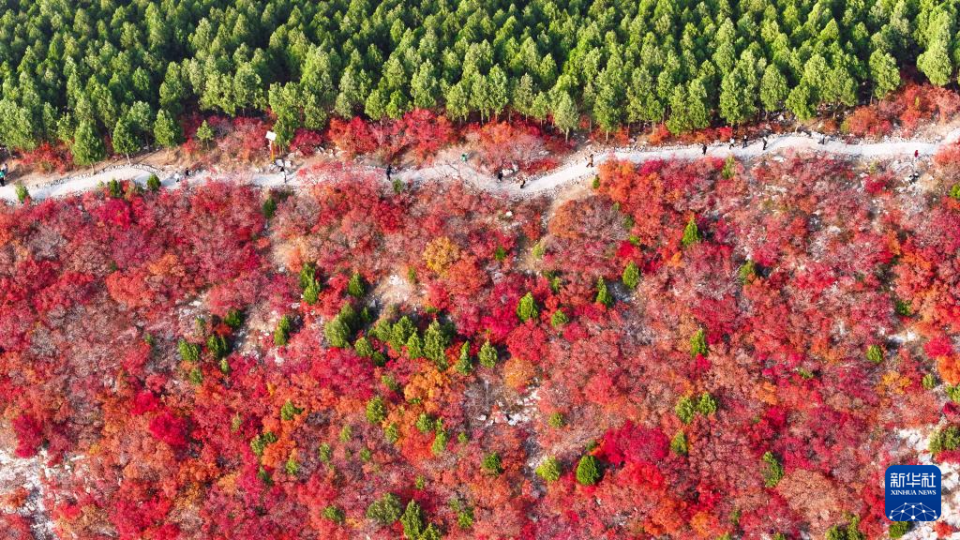 山东济南:“平分秋色”蝎子山