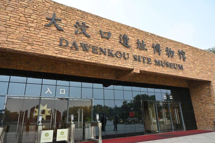 沿着黄河遇见海|大汶口遗址:黄河下游的文明曙光