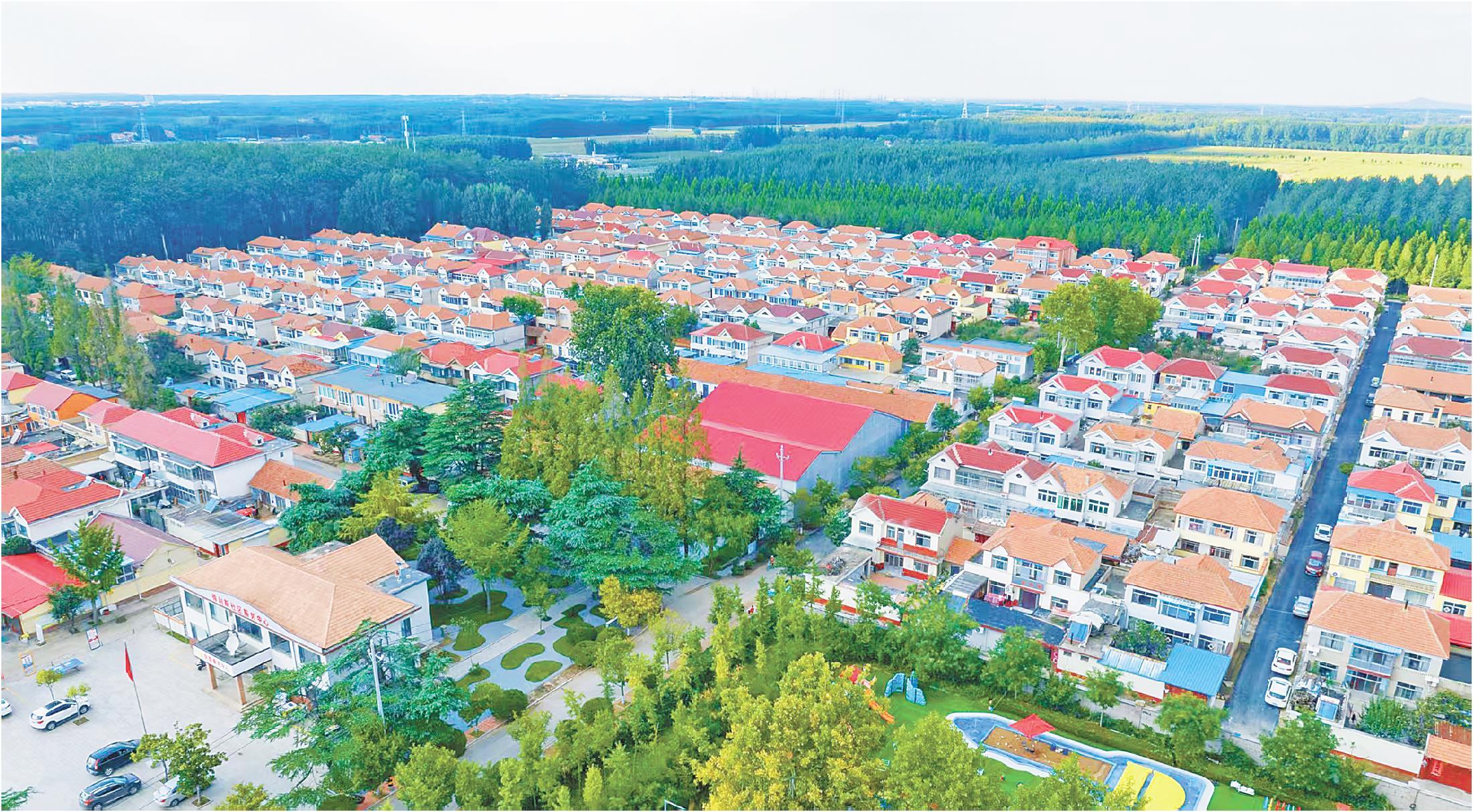 潍坊:片区建设促乡村振兴_fororder_13_13_0420