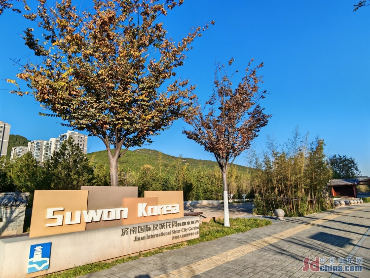 遇见山东 | 韩国记者走进济南水原花园 感受济韩友城人文交融