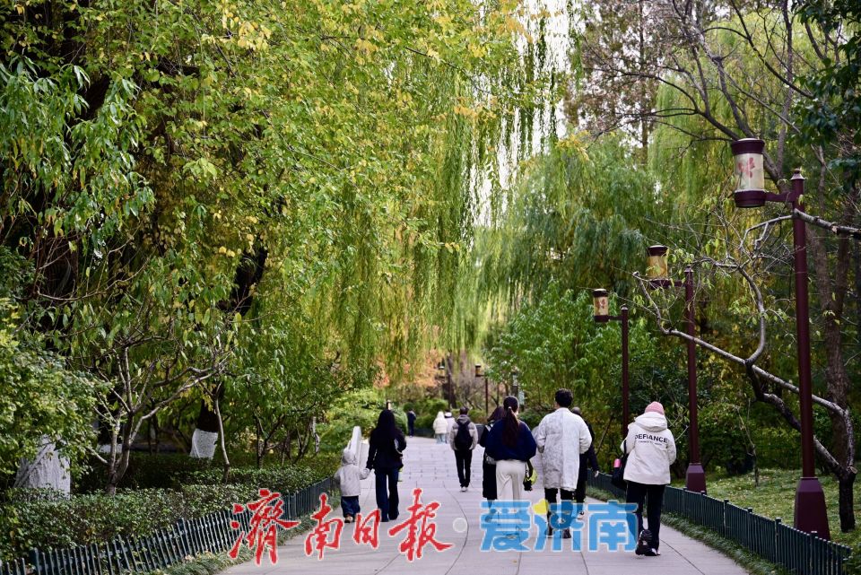 寒潮难挡游兴 大明湖初冬别具风情