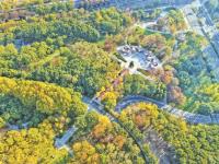 无锡：斑斓初冬