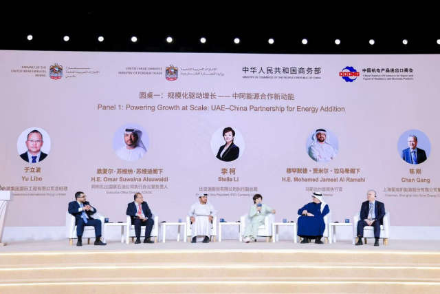 中国-阿联酋企业推介会在京举行