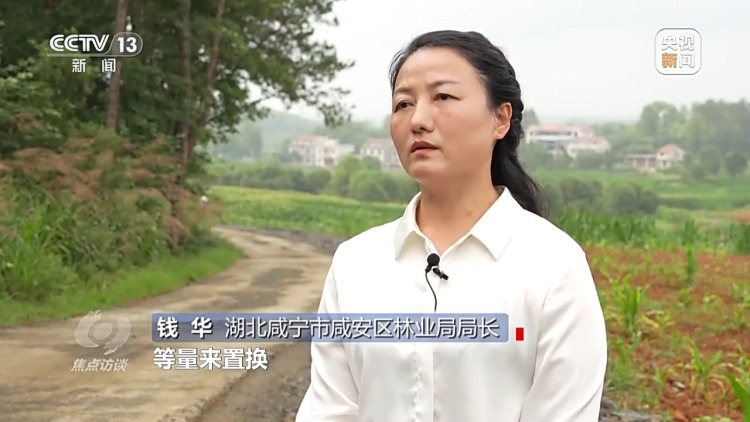 焦点访谈丨如何端稳中国饭碗 构建田美、粮安、村兴的和美景象?