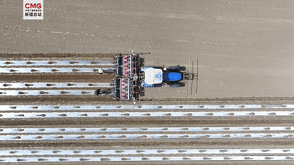 新疆阿瓦提:春回大地 137.5万亩“棉花海”开种啦