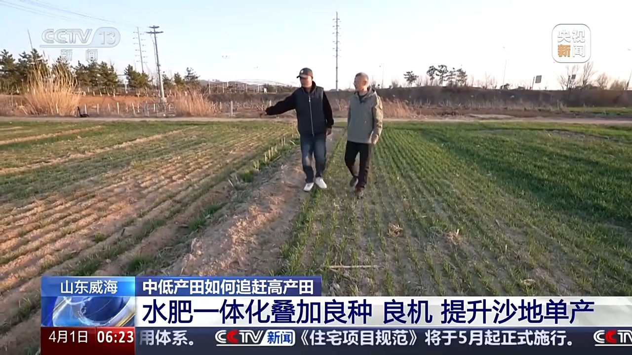 丘陵薄地如何提单产?平原沙地怎么多打粮?春耕威海有新招