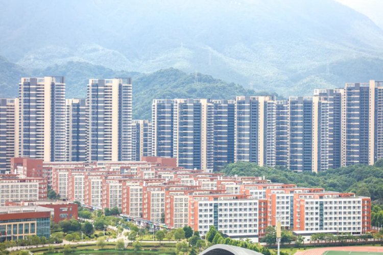 “十五五”民生蓝图:就业、收入、教育等将迎哪些红利?