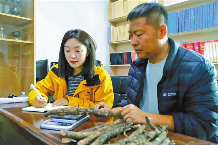 首批“寒地金根”采收上市_fororder_2