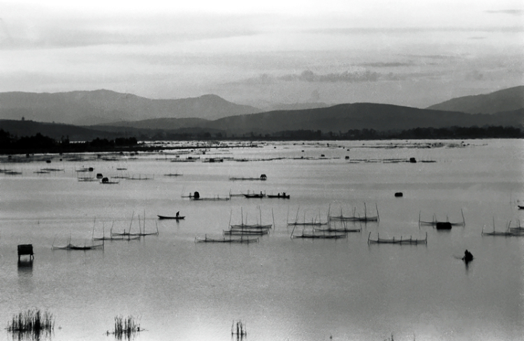 新春走基层|山朝水朝,不如人来朝——异龙湖畔感受高原湖泊治污成果