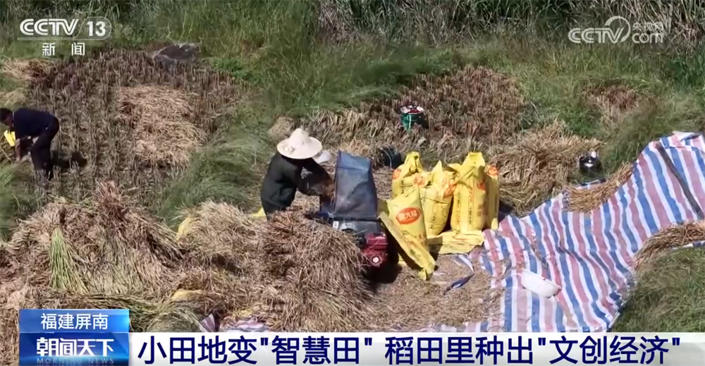 传统与现代融合“交响” 古村落呈现“人来、村活、业兴、文盛”繁荣景象