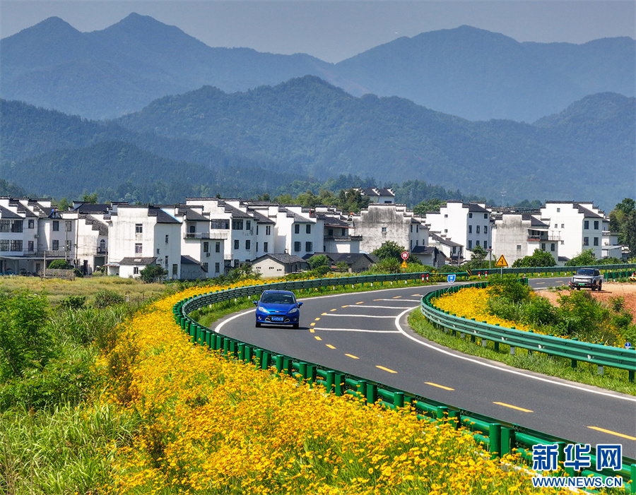 安徽休宁:一路芬芳一路景