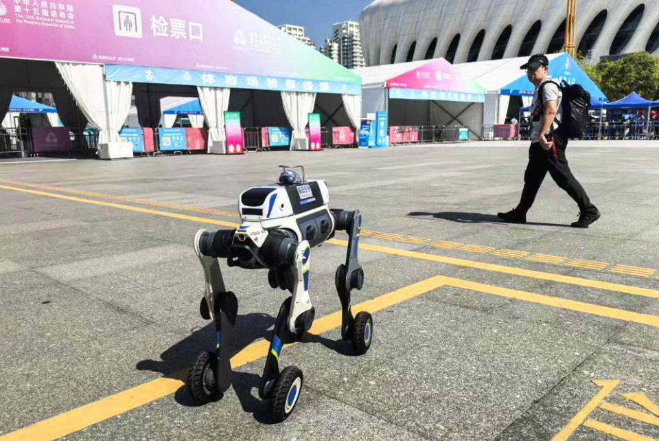 十五运盛会落幕,体育之光照亮大湾区融合新征程