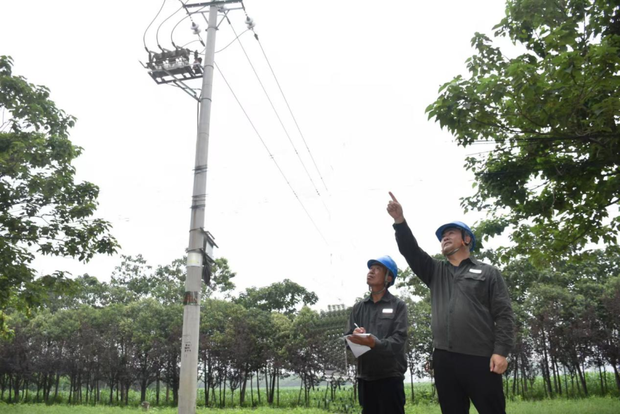 Kaifeng, Henan: Quality Power Supply Boosts Lankao's Melon Industry_fororder_图片1