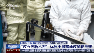 视频丨300只中选拔4只 想当“太空小鼠”也要“过五关斩六将”