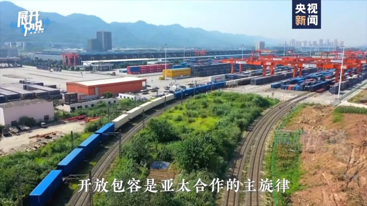 视频丨APEC秘书处执行主任:期待会议上的中国声音